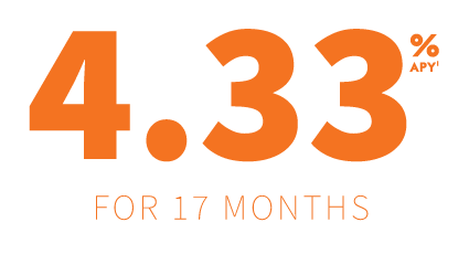 Text that reads 4.33% APY for 17 Months