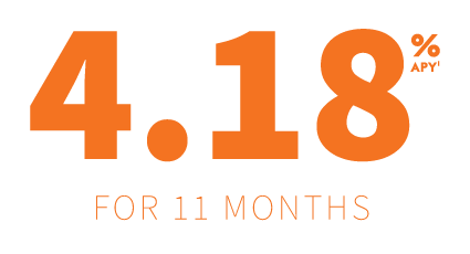 Text that reads 4.18% APY for 11 Months