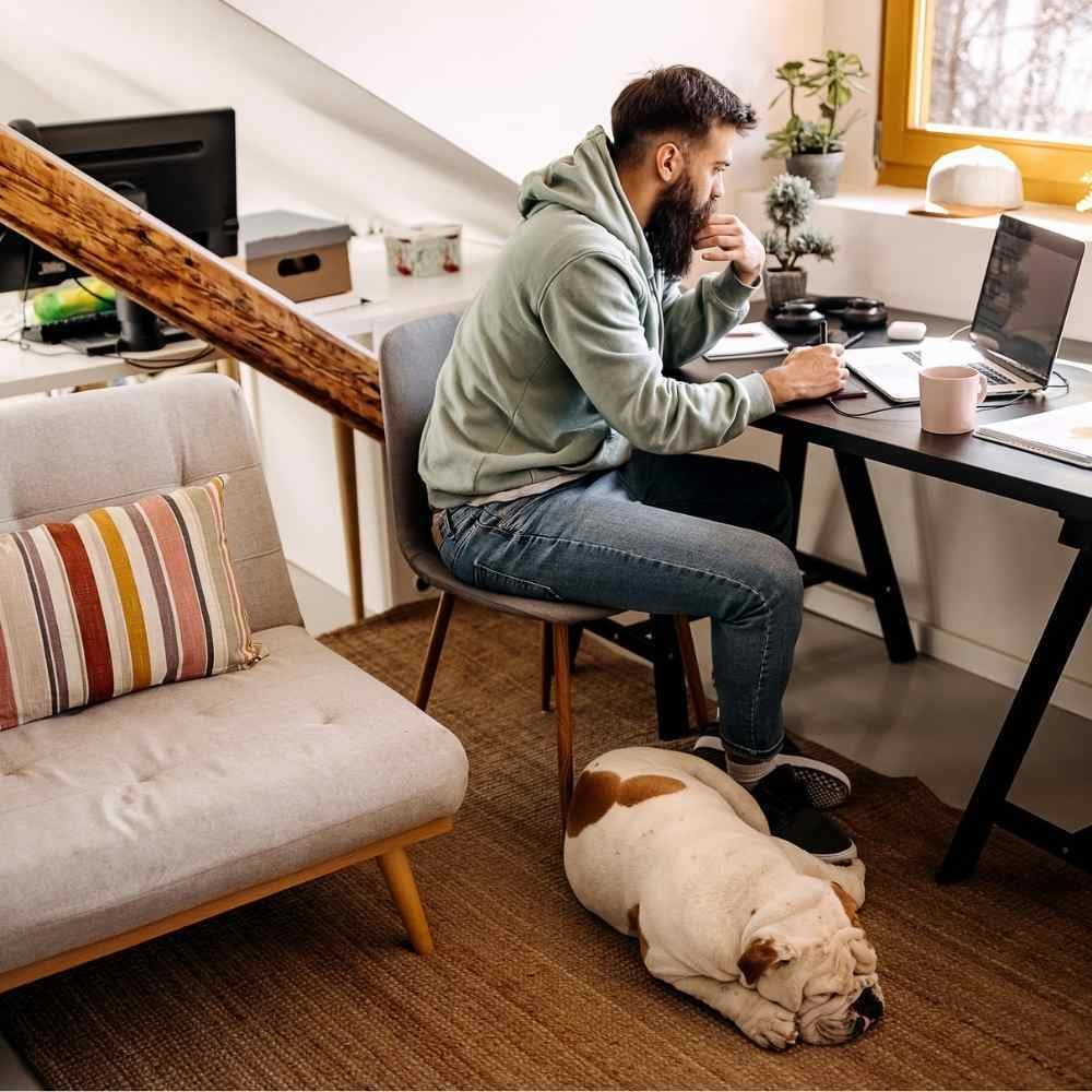 Dog sleeping at owners feet in home office